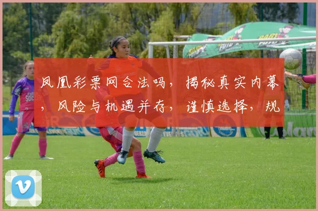 凤凰彩票网合法吗，揭秘真实内幕，风险与机遇并存，谨慎选择，规避风险