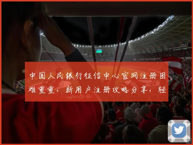 中国人民银行征信中心官网注册困难重重，新用户注册攻略分享，轻松应对三大挑战，三步走教你成功注册