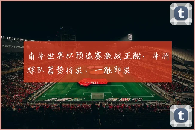 南非世界杯预选赛激战正酣，非洲球队蓄势待发，一触即发